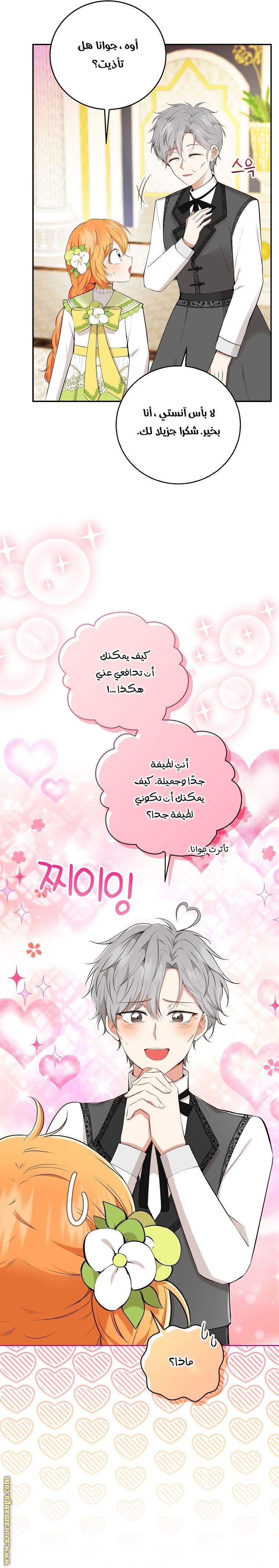 الصفحة 19