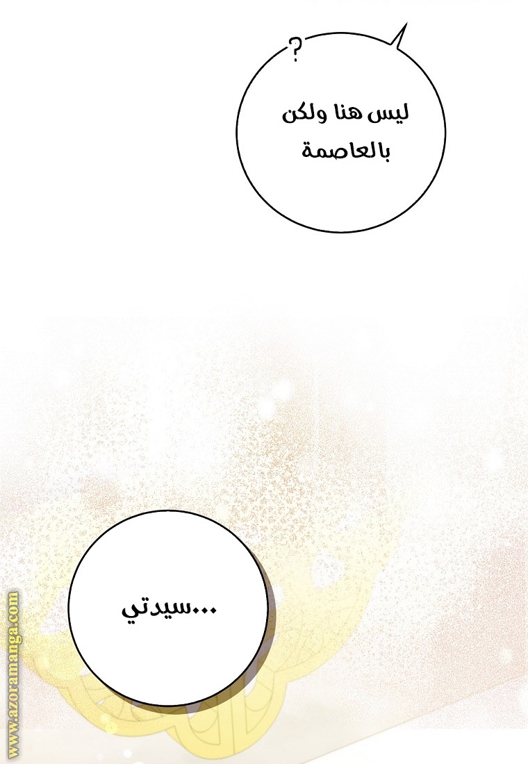 الصفحة 21
