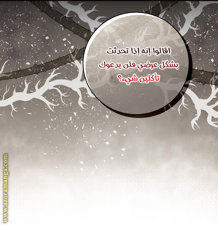 الصفحة 26