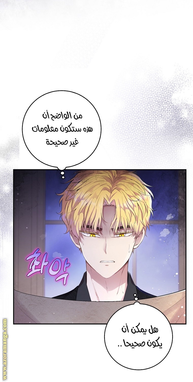 الصفحة 42