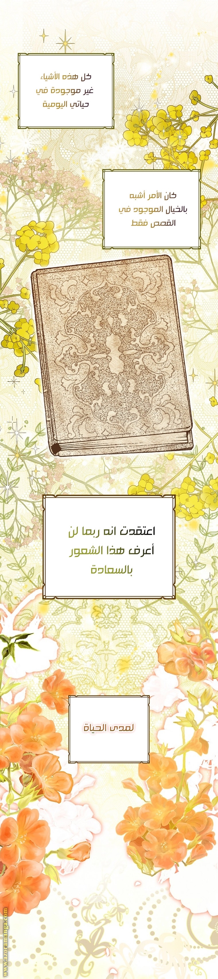 الصفحة 3