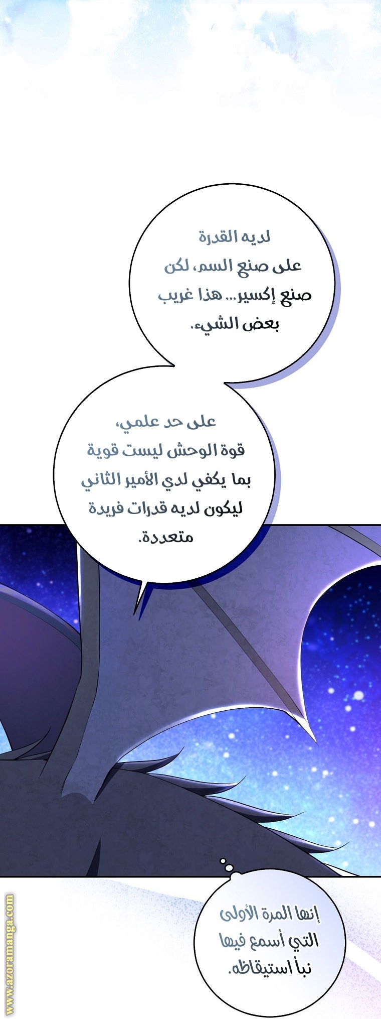 الصفحة 13