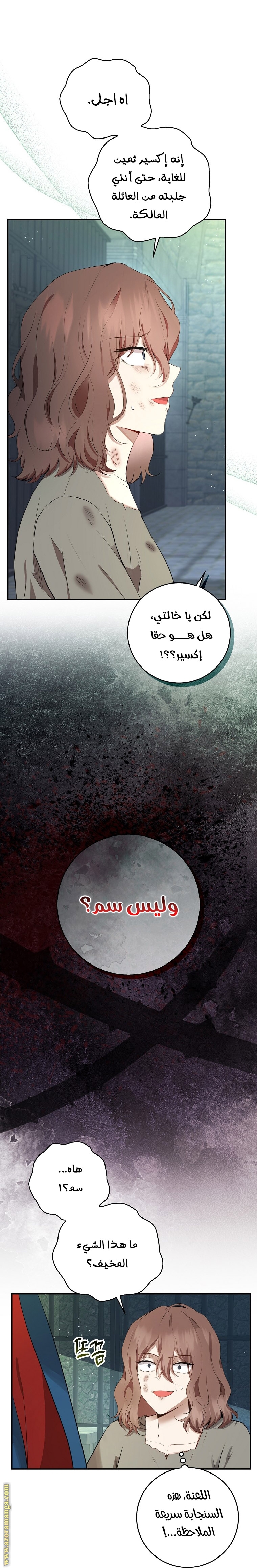 الصفحة 29