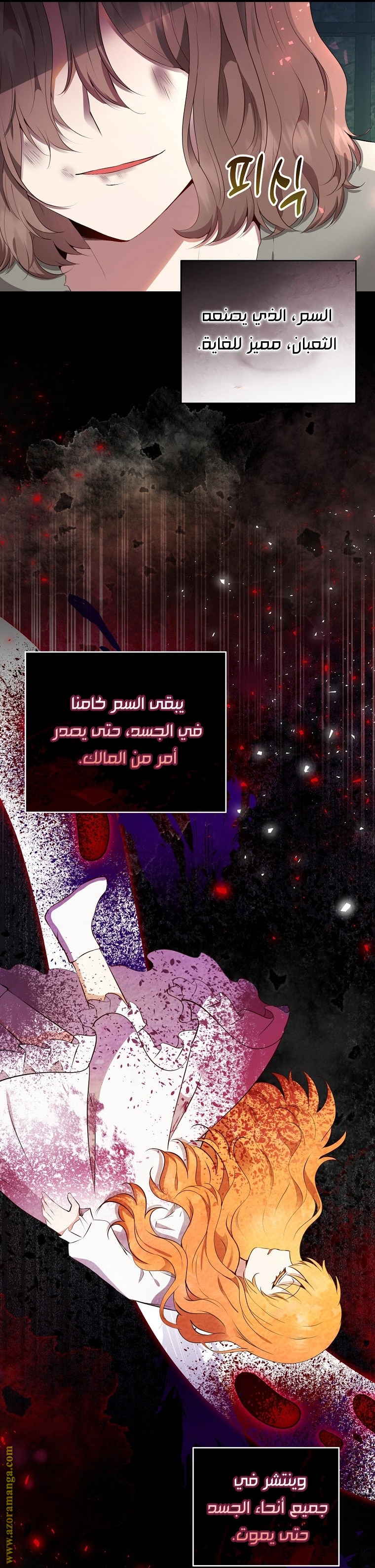 الصفحة 31