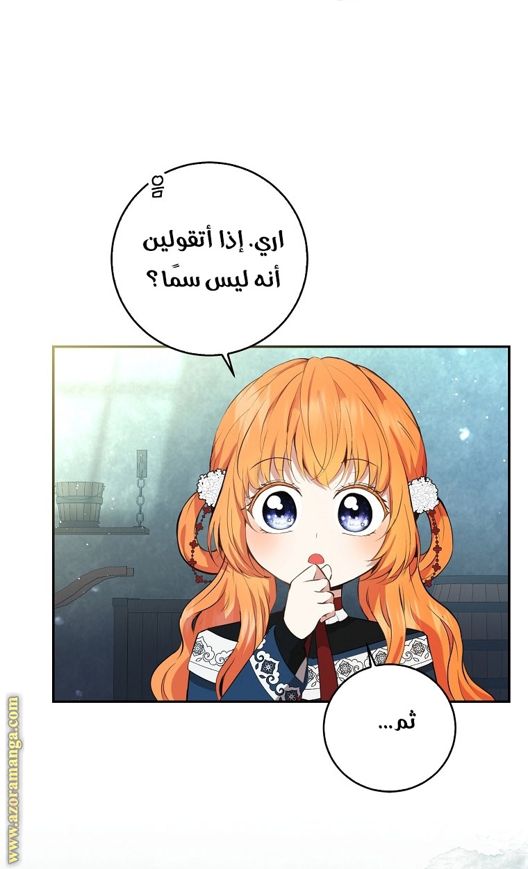 الصفحة 33