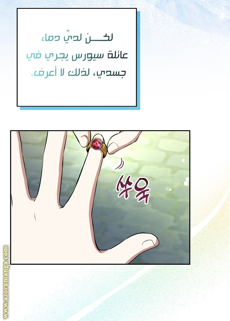 الصفحة 29