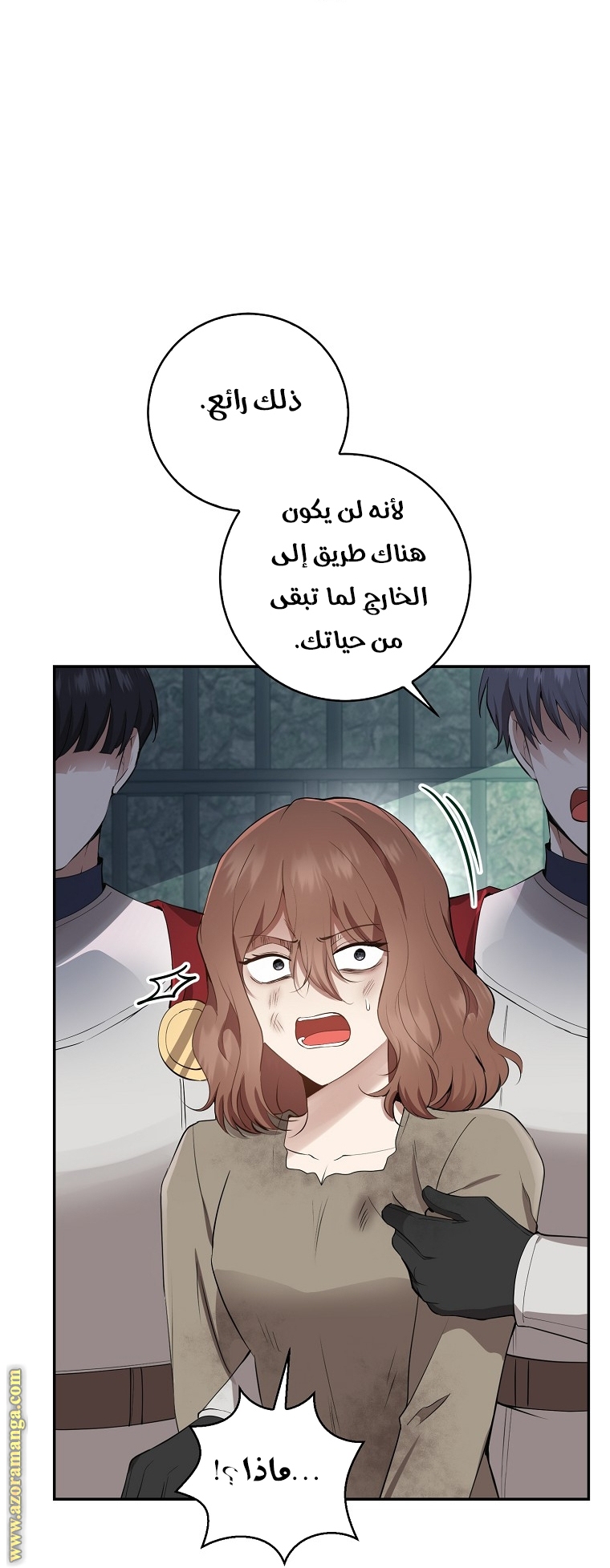 الصفحة 41