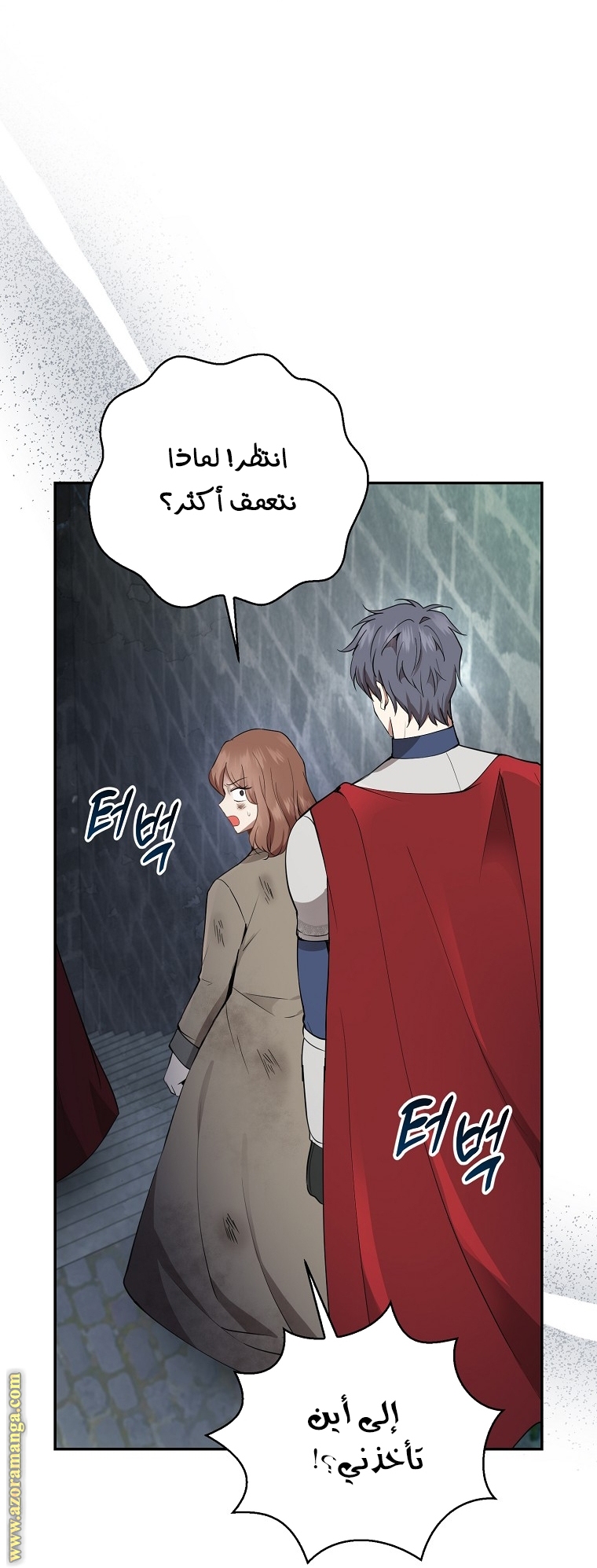 الصفحة 42