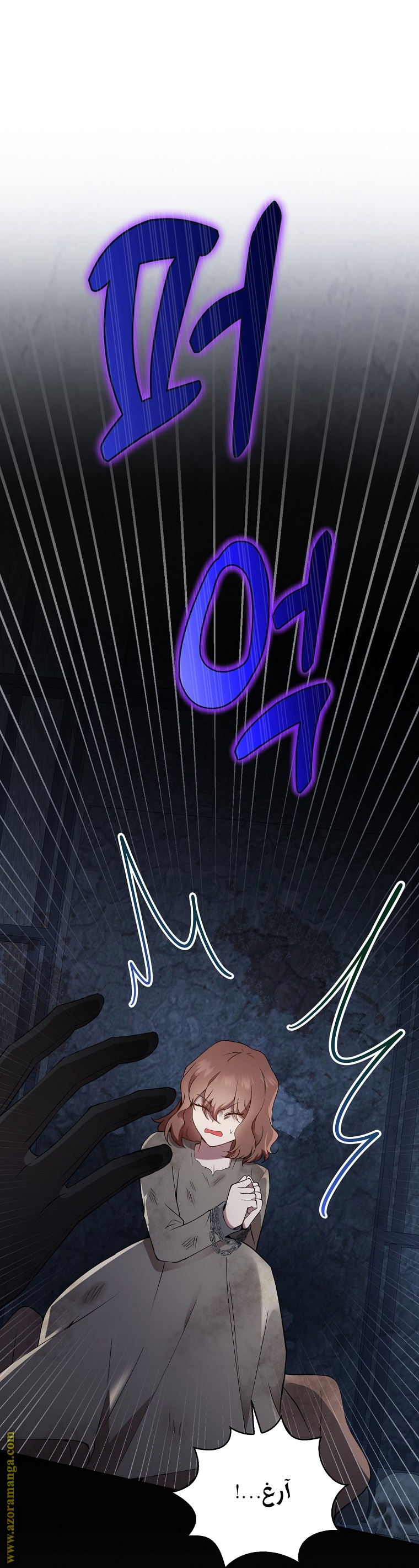 الصفحة 43