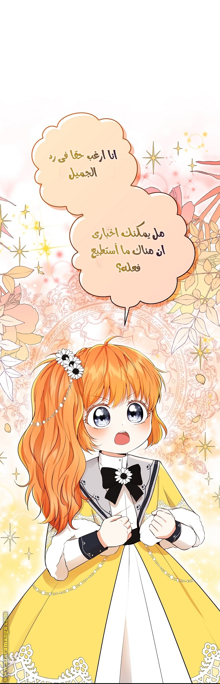 الصفحة 25
