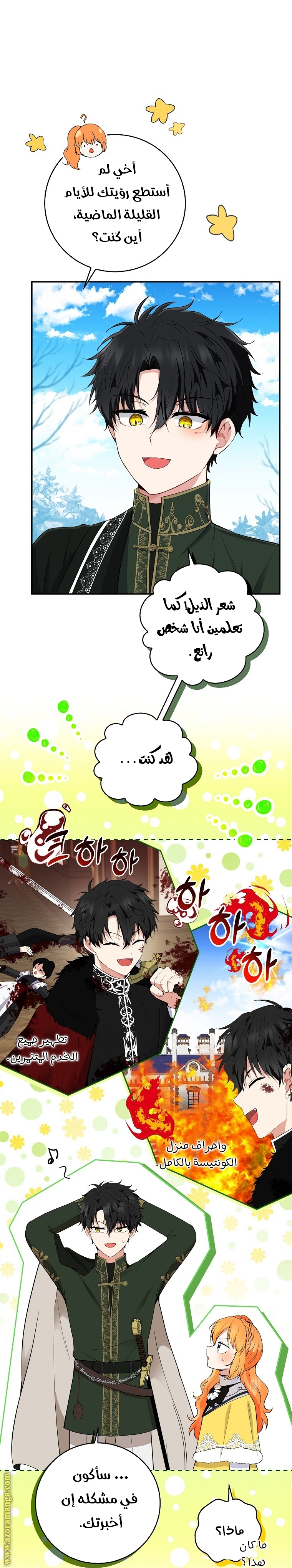 الصفحة 30