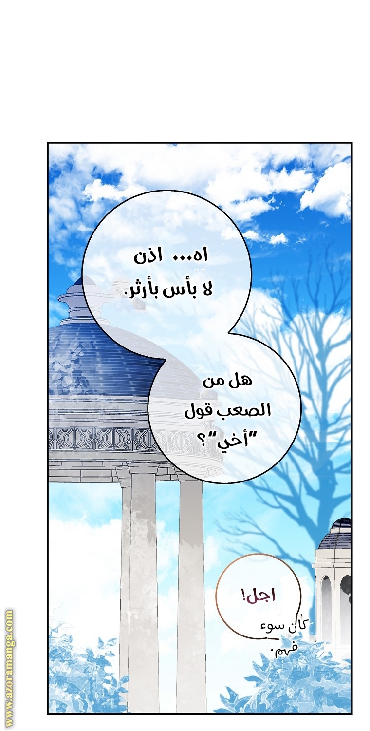 الصفحة 40