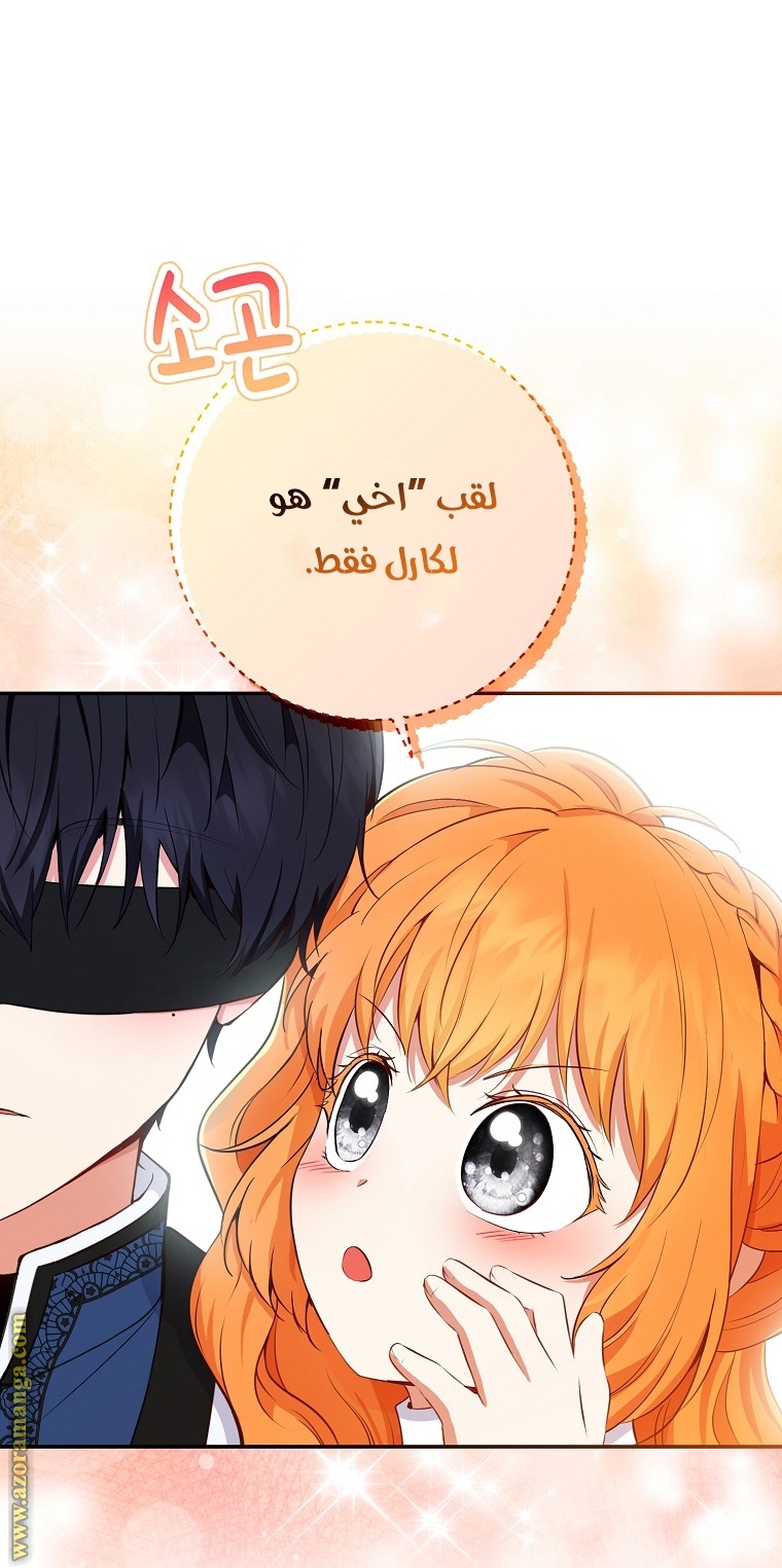 الصفحة 43
