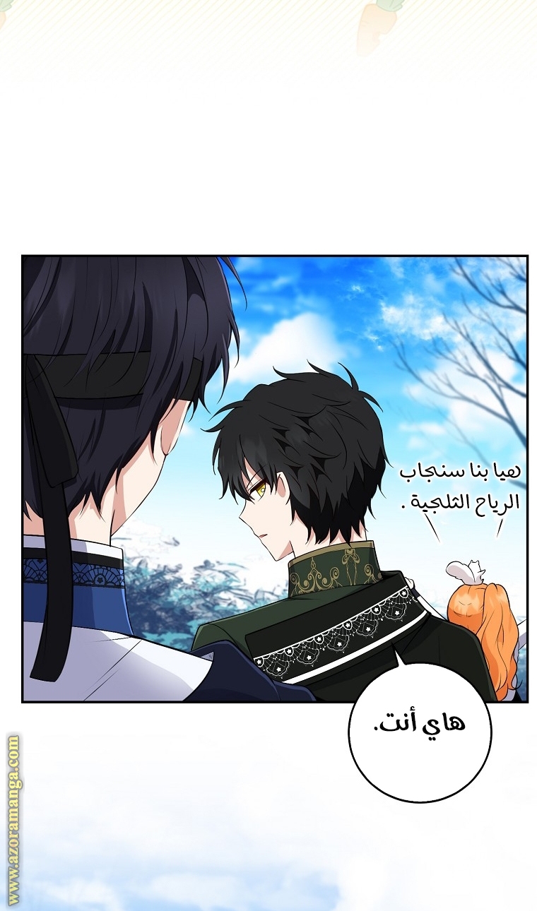 الصفحة 50