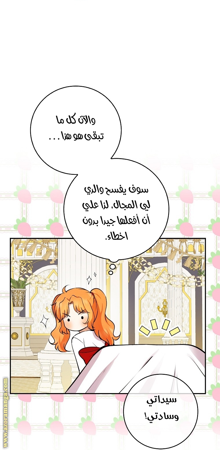 الصفحة 20