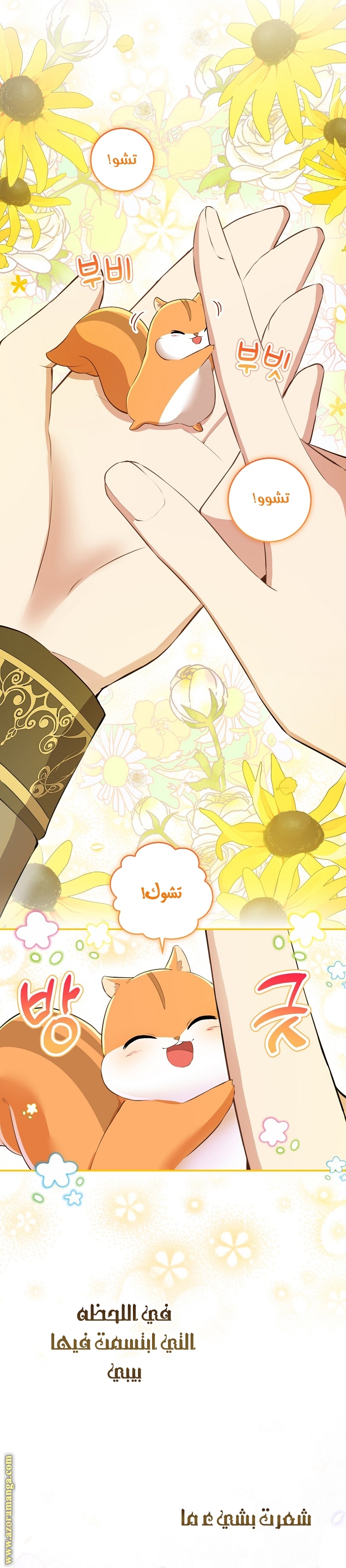 الصفحة 24