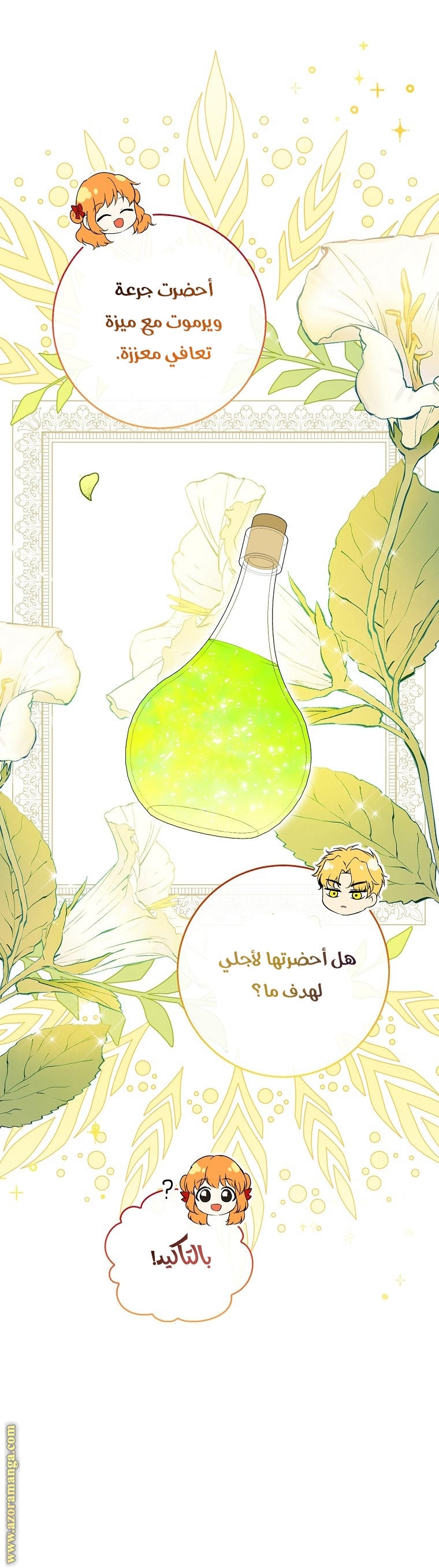 الصفحة 29