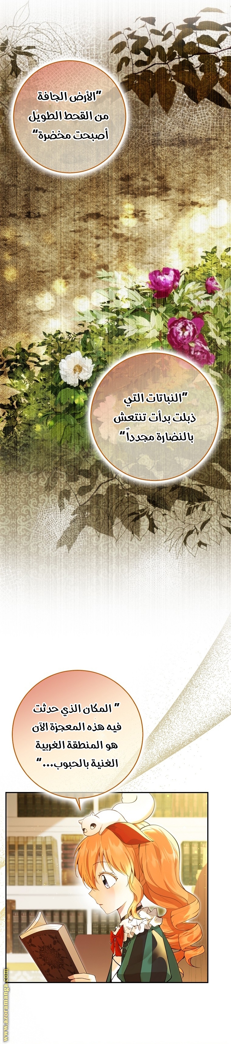 الصفحة 2