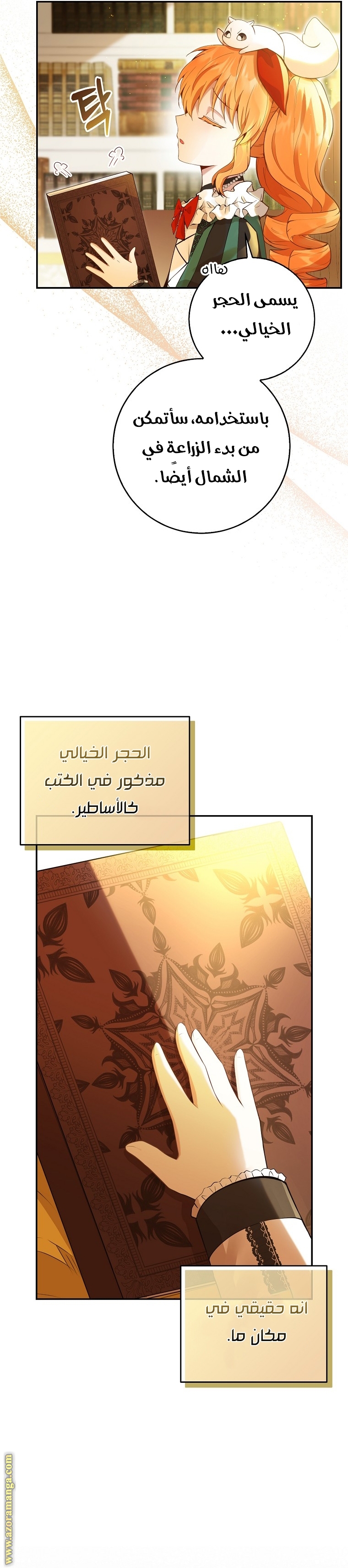 الصفحة 3