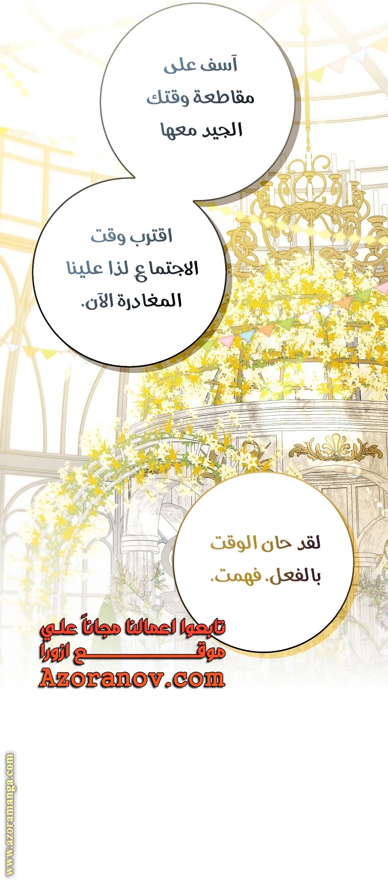 الصفحة 17