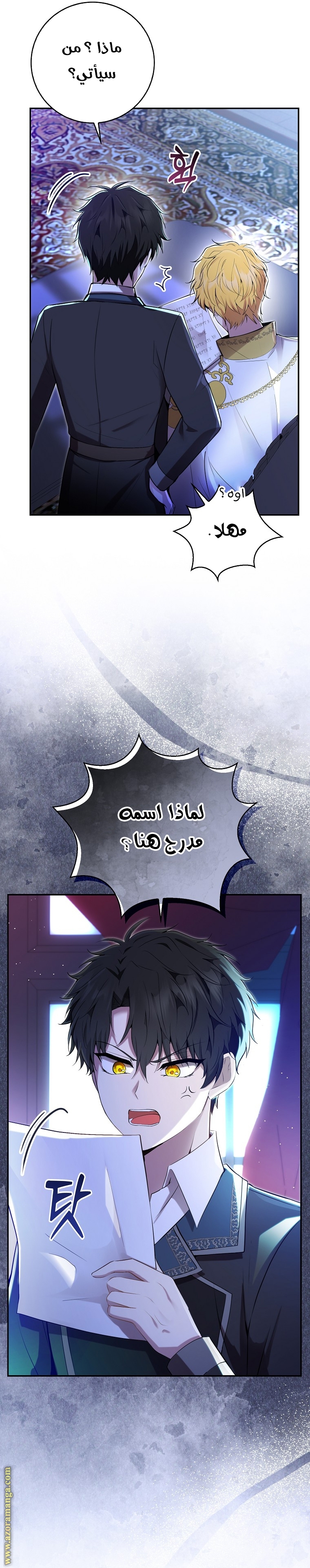 الصفحة 27