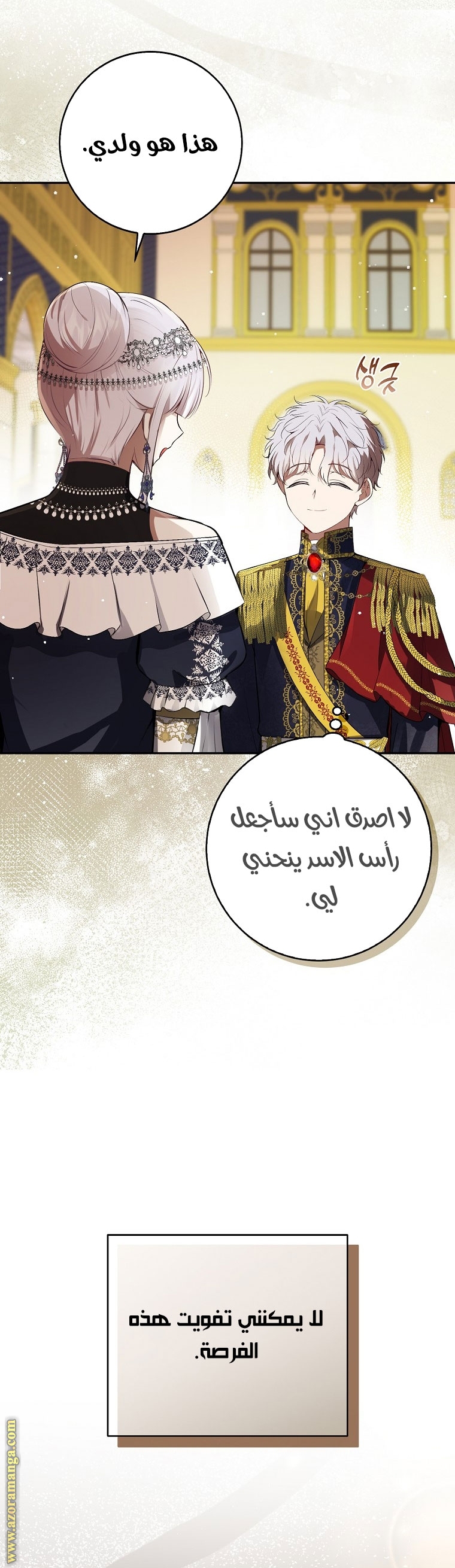 الصفحة 27