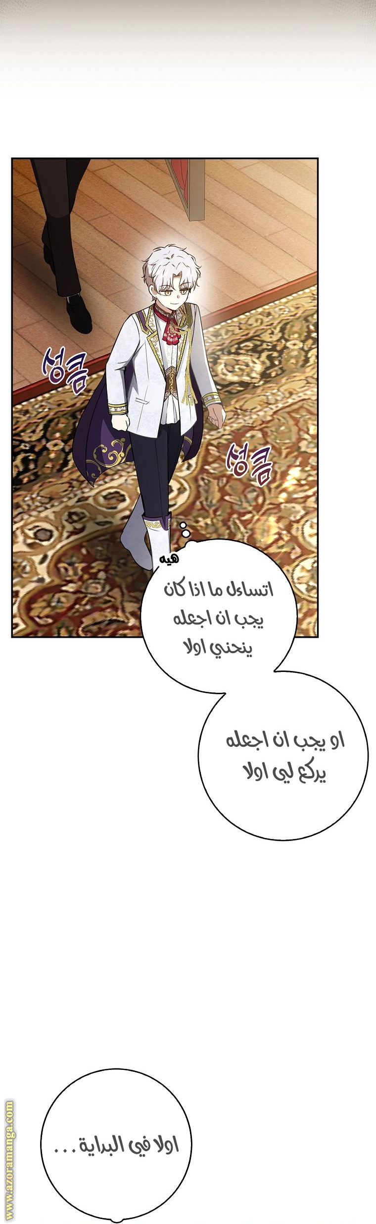 الصفحة 29