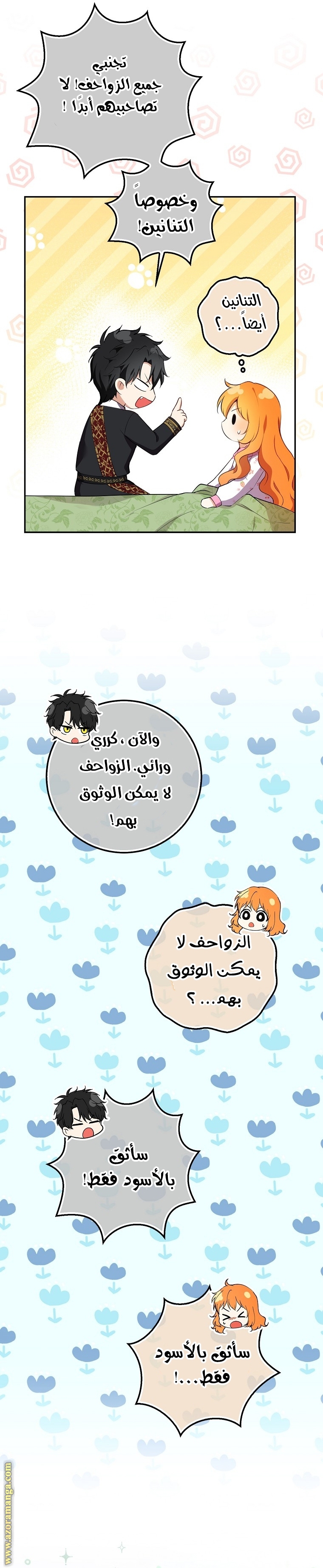 الصفحة 17