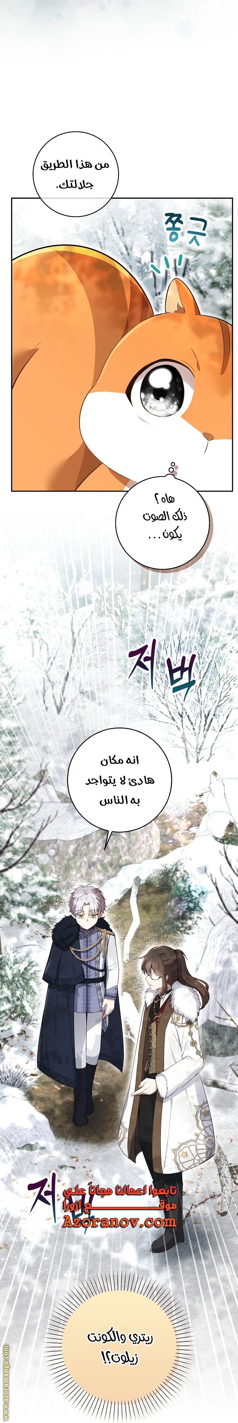 الصفحة 19