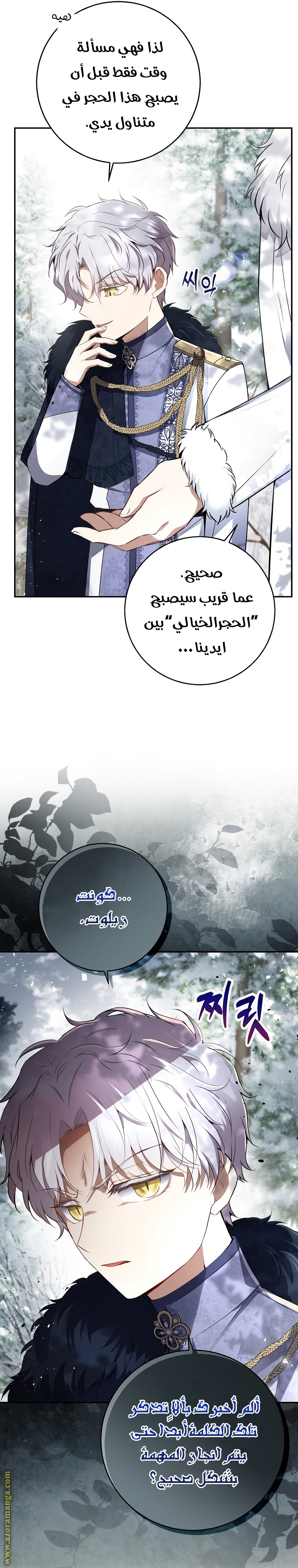 الصفحة 29