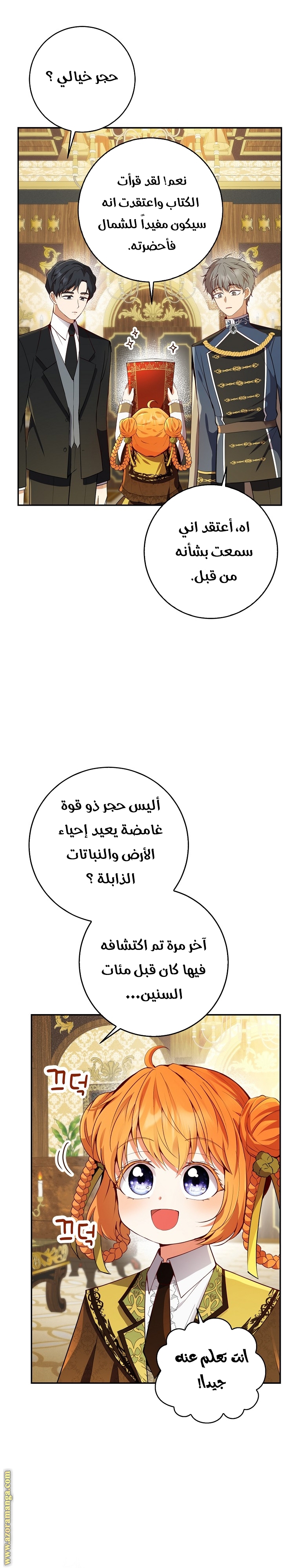 الصفحة 17