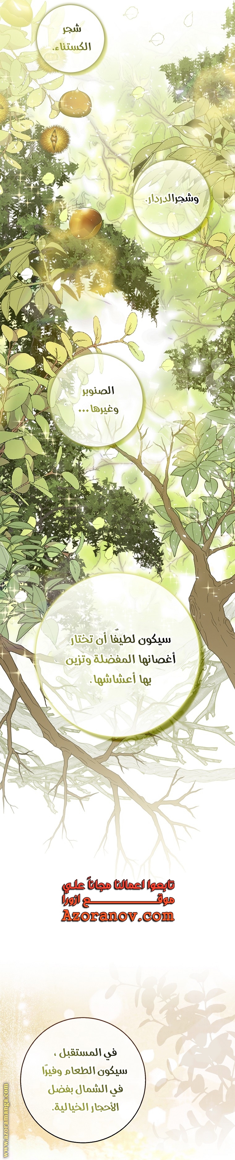 الصفحة 12