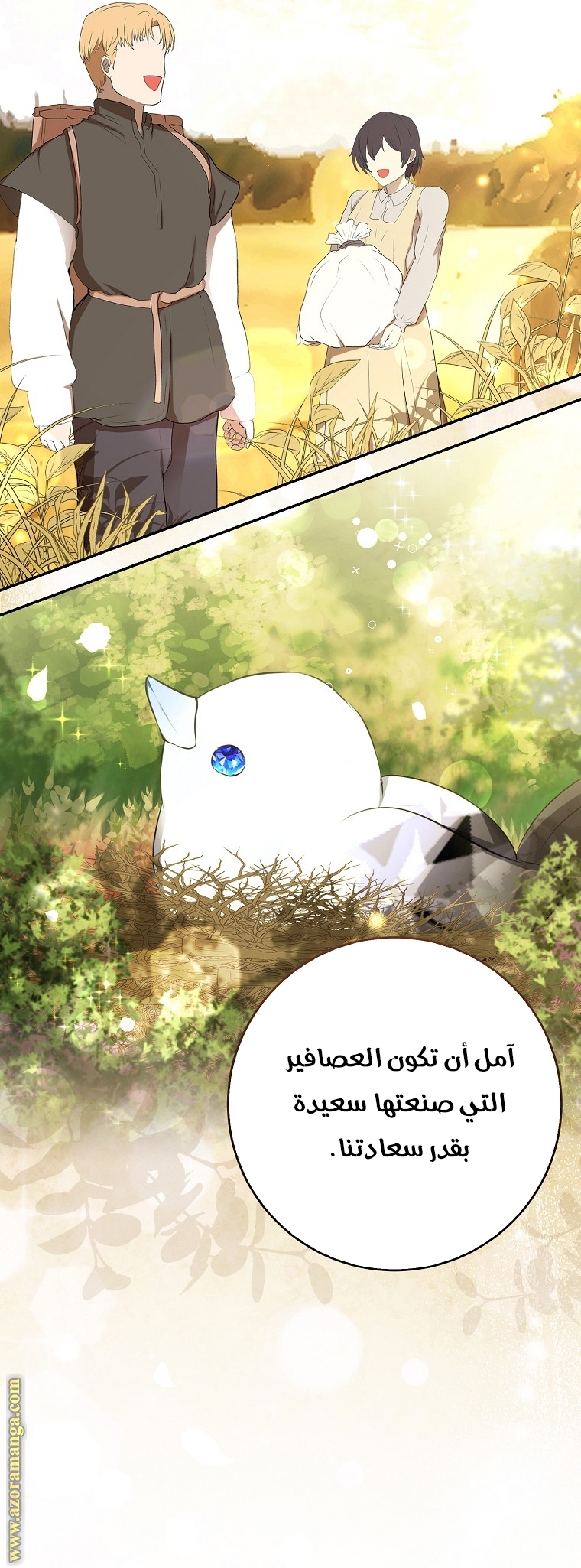 الصفحة 13