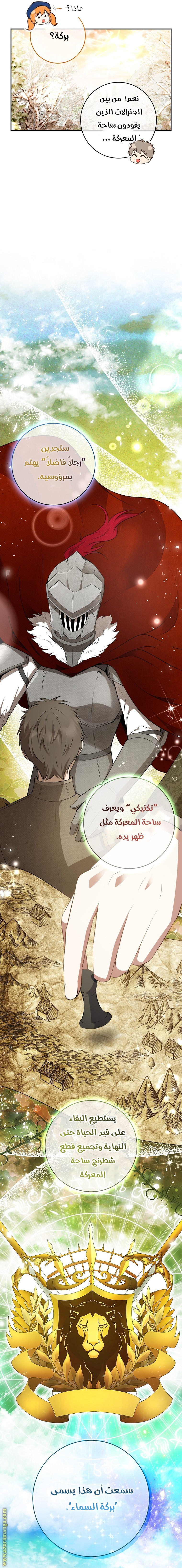 الصفحة 17