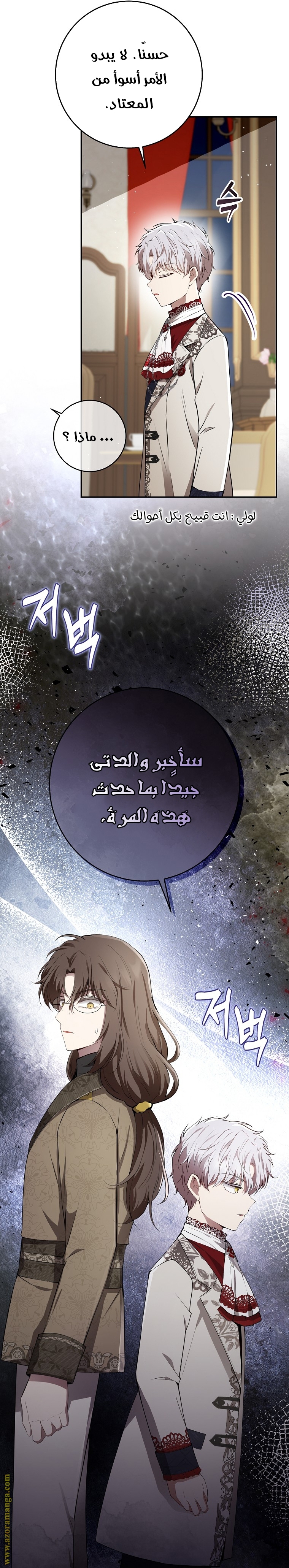 الصفحة 25