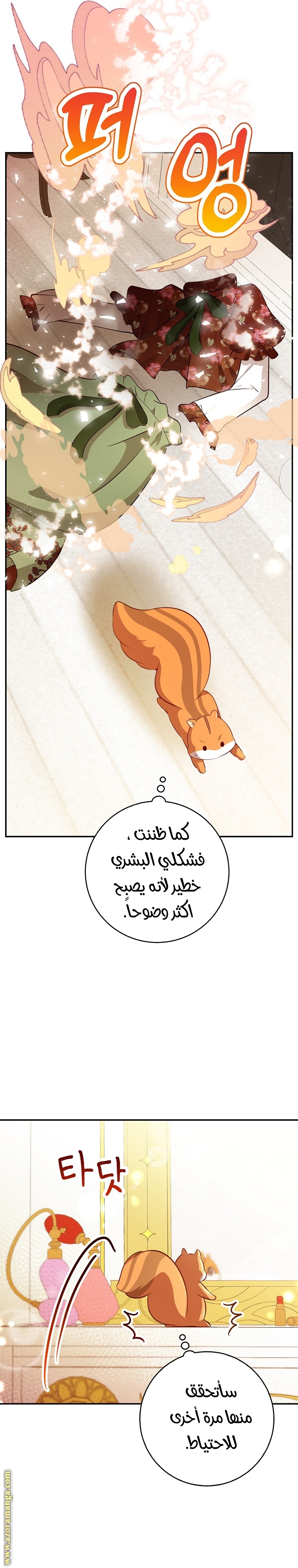 الصفحة 14