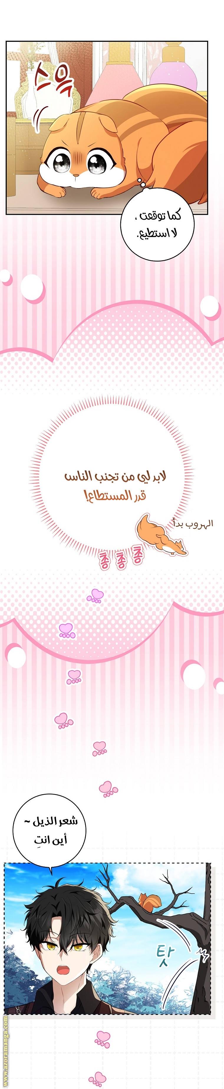 الصفحة 19