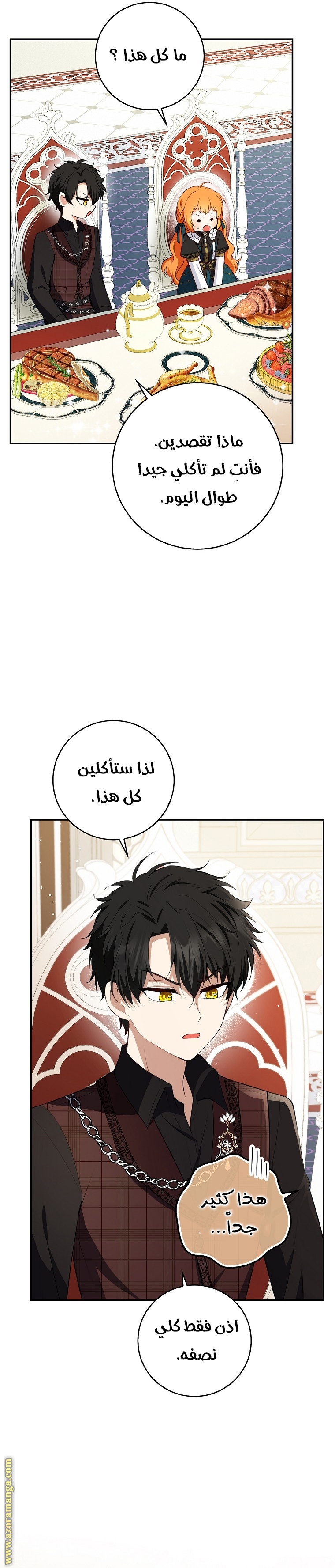الصفحة 25