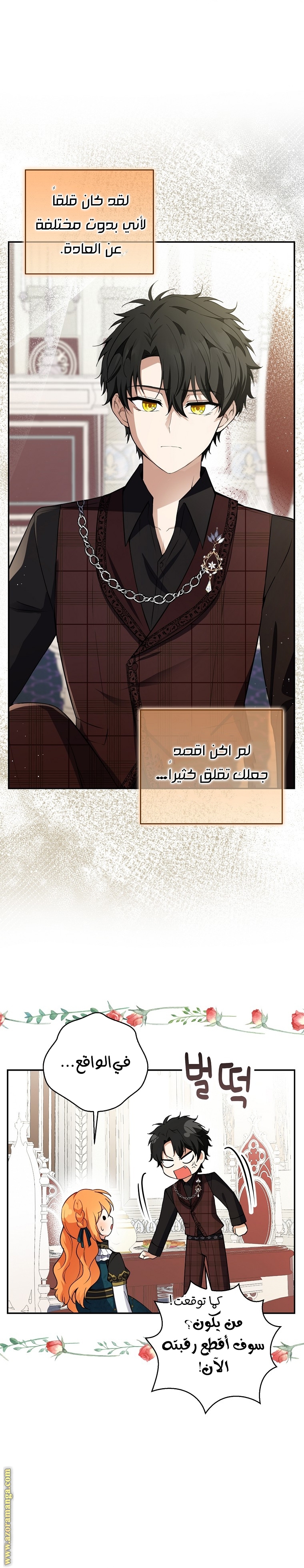 الصفحة 29