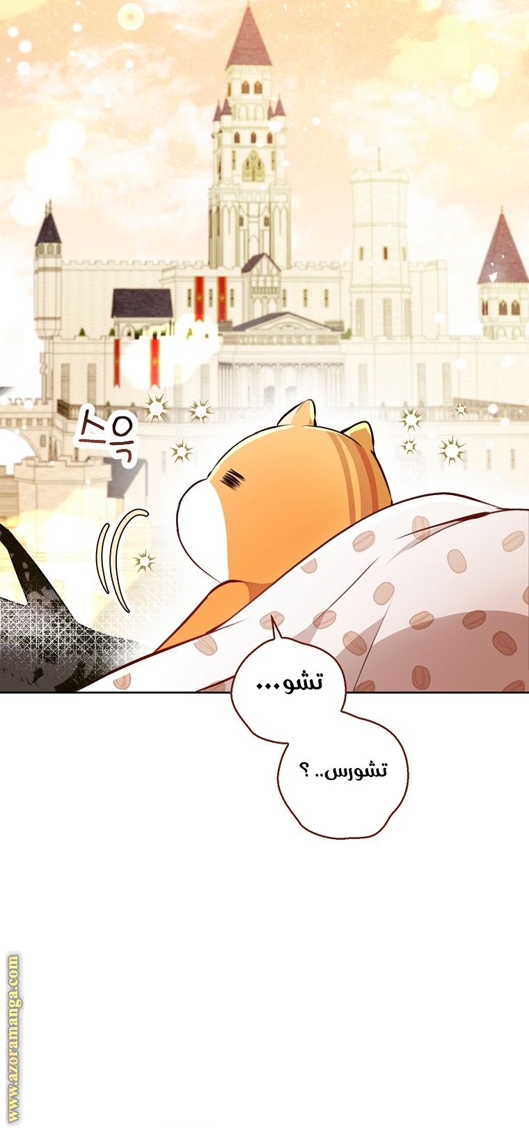 الصفحة 29