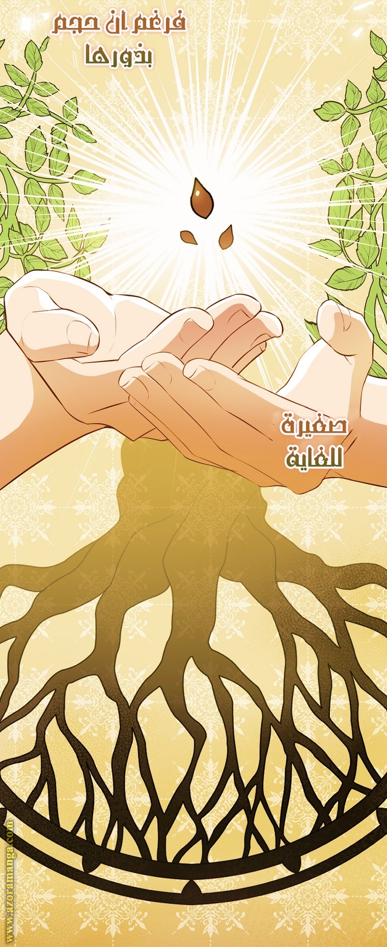 الصفحة 5