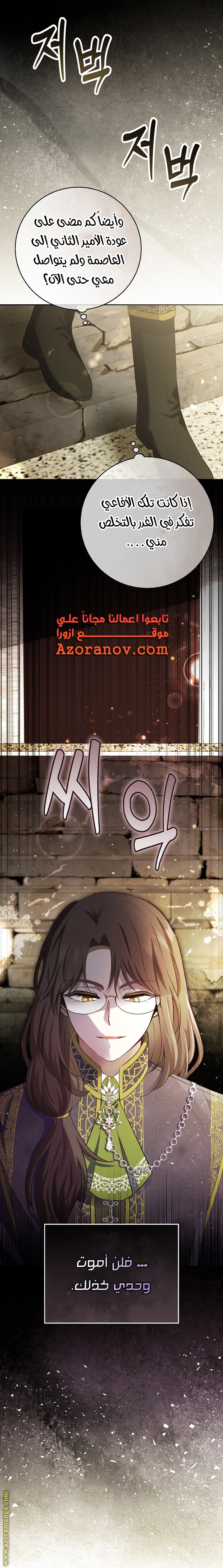 الصفحة 31