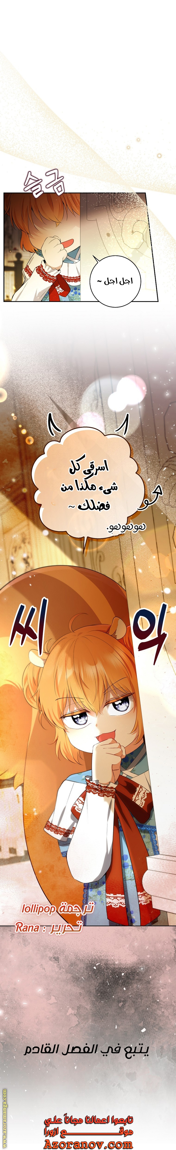 الصفحة 29