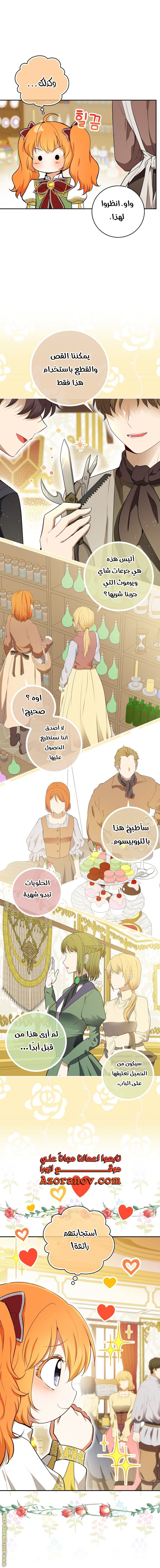 الصفحة 13