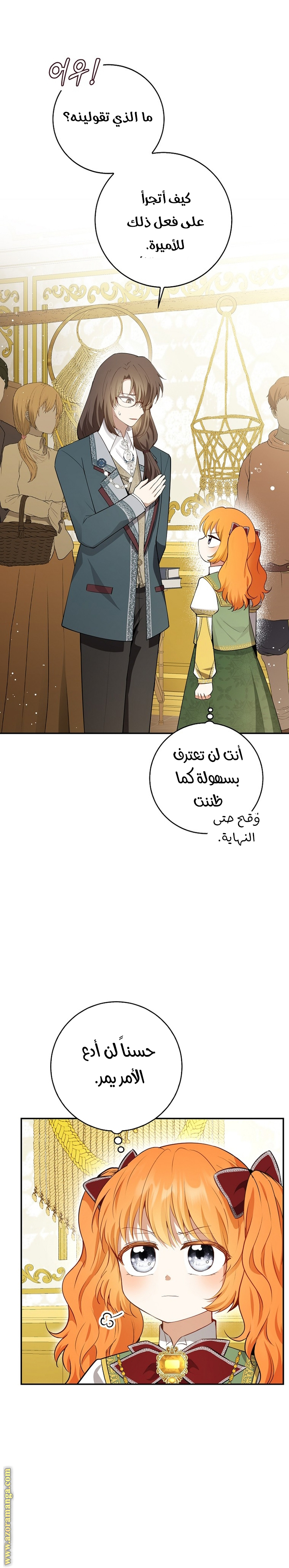 الصفحة 17
