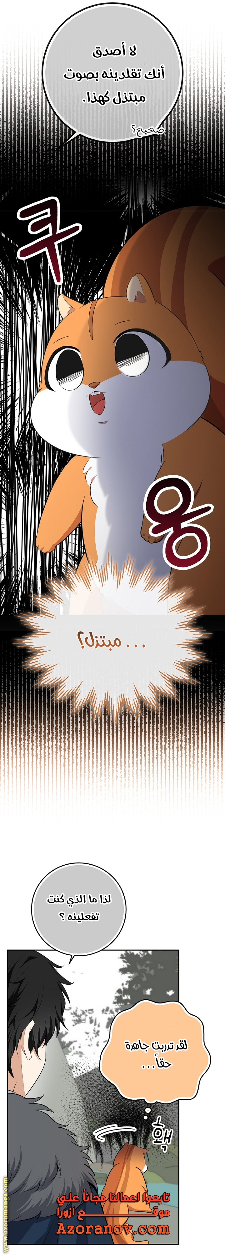 الصفحة 29