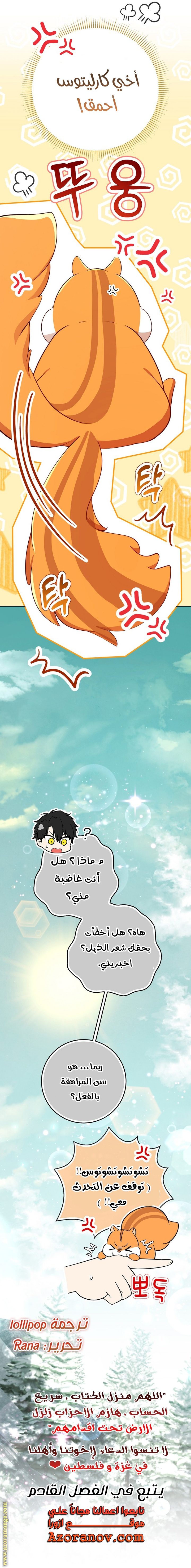 الصفحة 31