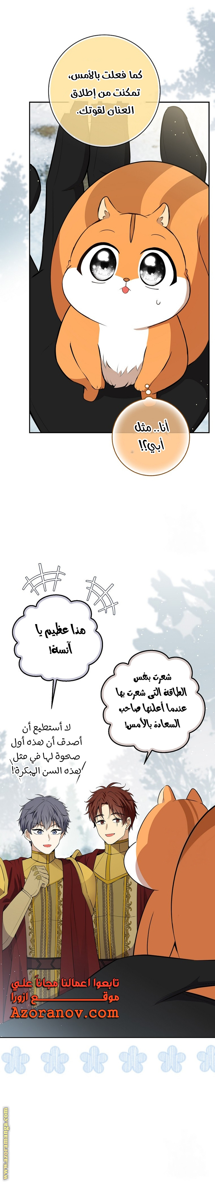 الصفحة 13