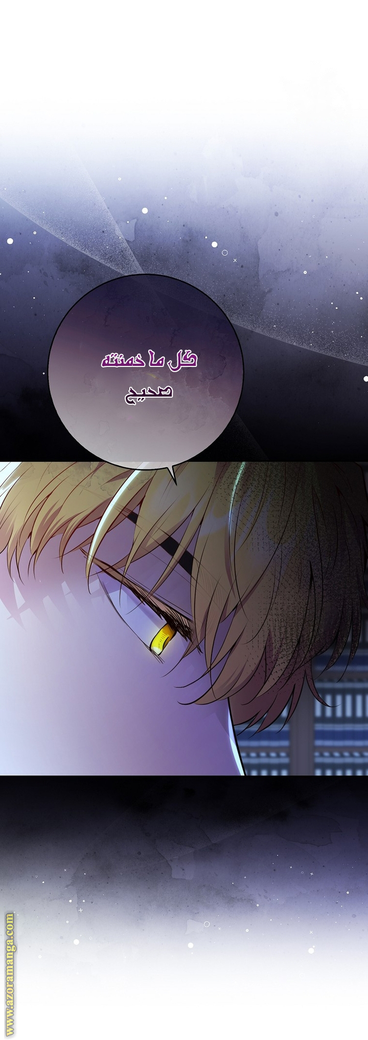 الصفحة 25