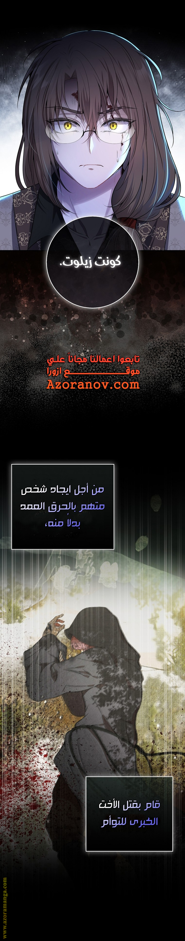 الصفحة 11